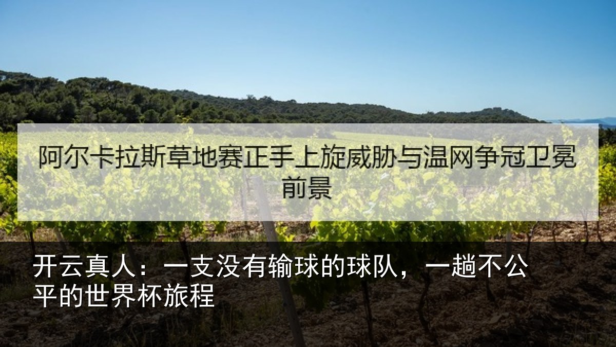开云真人：一支相关情况趟不相关情况