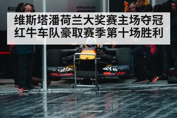 Red Bull racing pit stop