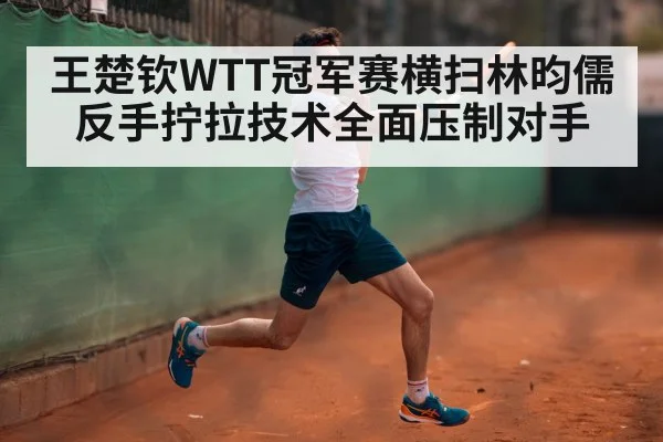 王楚钦WTT冠军赛横扫林昀儒反手拧拉技术全面压制对手