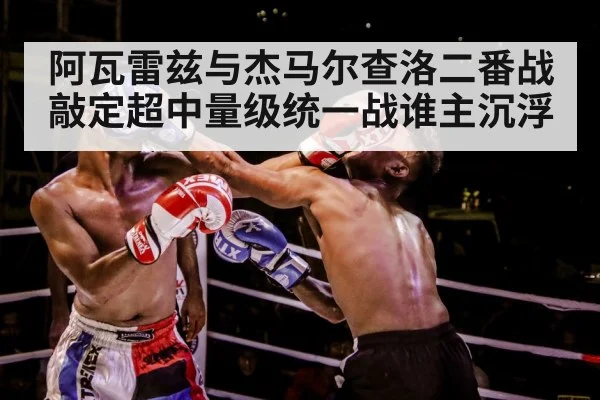 boxer training gloves